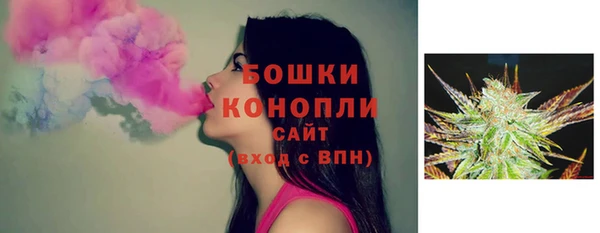 гашик Бронницы