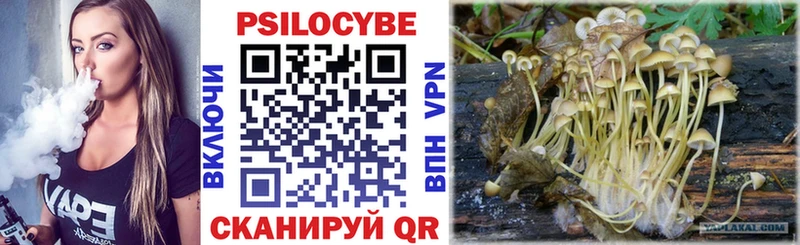 Галлюциногенные грибы мухоморы  купить  цена  Нюрба 